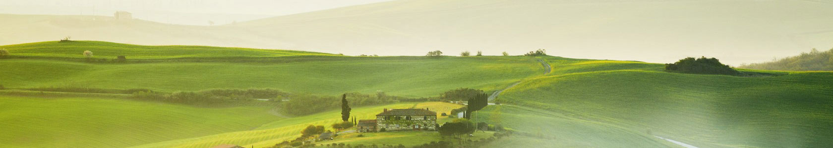 虫虫漫画女主角